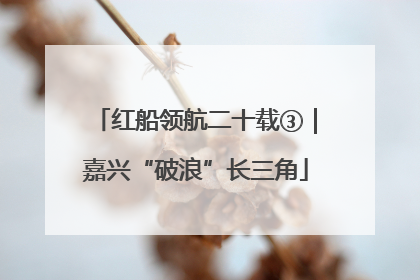 红船领航二十载③｜嘉兴“破浪”长三角