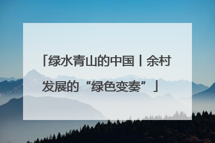 绿水青山的中国丨余村发展的“绿色变奏”