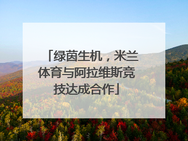 绿茵生机，米兰体育与阿拉维斯竞技达成合作