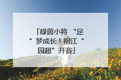 绿茵小将 “足”梦成长！榕江“园超”开赛