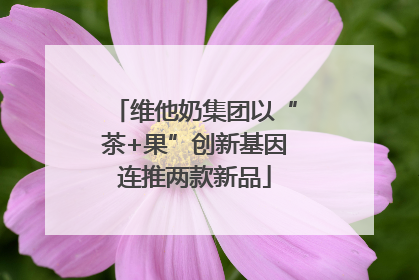 维他奶集团以“茶+果”创新基因连推两款新品