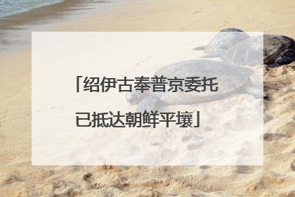 绍伊古奉普京委托已抵达朝鲜平壤