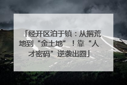 经开区泊于镇：从撂荒地到“金土地”！靠“人才密码”逆袭出圈