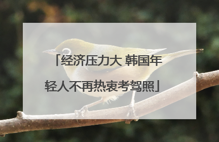 经济压力大 韩国年轻人不再热衷考驾照