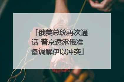 俄美总统再次通话 普京透露俄准备调解伊以冲突