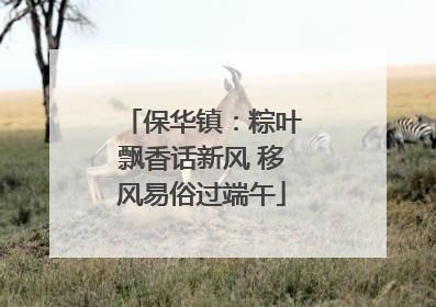 保华镇：粽叶飘香话新风 移风易俗过端午