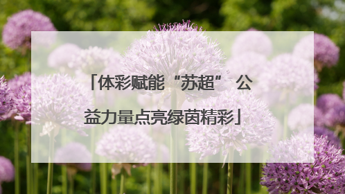 体彩赋能“苏超” 公益力量点亮绿茵精彩