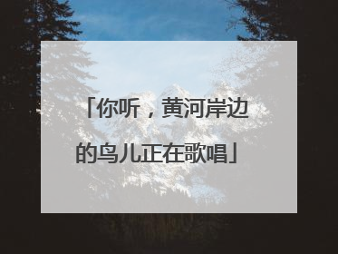 你听，黄河岸边的鸟儿正在歌唱