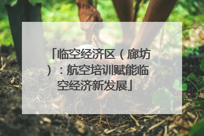 临空经济区（廊坊）：航空培训赋能临空经济新发展