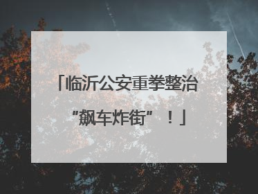 临沂公安重拳整治“飙车炸街”！