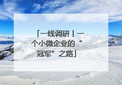 一线调研丨一个小微企业的“冠军”之路