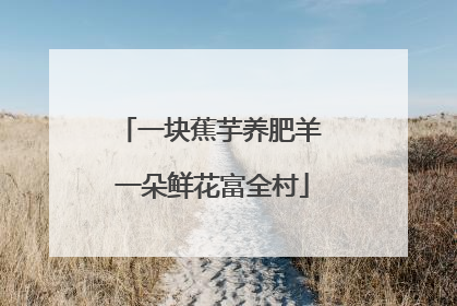 一块蕉芋养肥羊 一朵鲜花富全村