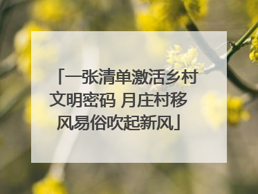 一张清单激活乡村文明密码 月庄村移风易俗吹起新风