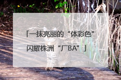 一抹亮丽的“体彩色”闪耀株洲“厂BA”
