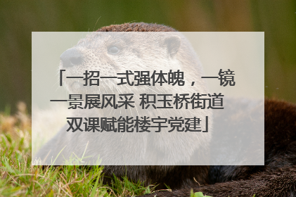 一招一式强体魄，一镜一景展风采 积玉桥街道双课赋能楼宇党建