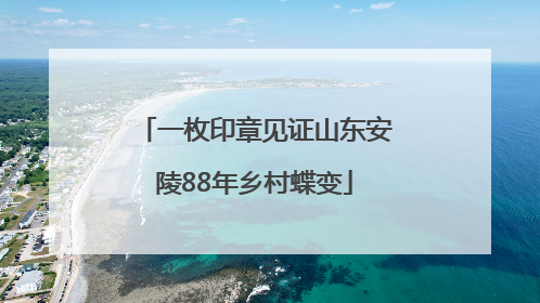 一枚印章见证山东安陵88年乡村蝶变