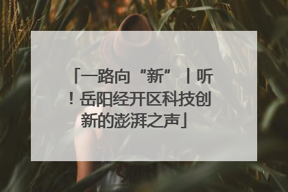 一路向“新”丨听！岳阳经开区科技创新的澎湃之声