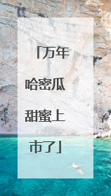 万年哈密瓜甜蜜上市了