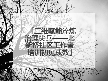 三维赋能淬炼治理尖兵——北新桥社区工作者培训初见成效