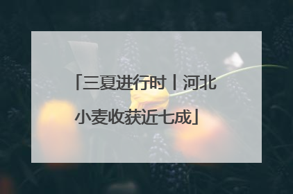 三夏进行时丨河北小麦收获近七成