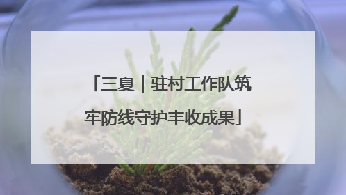 三夏｜驻村工作队筑牢防线守护丰收成果
