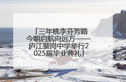 三年桃李芬芳路 今朝启航向远方——庐江裴岗中学举行2025届毕业典礼