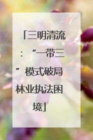 三明清流：“一带三”模式破局林业执法困境