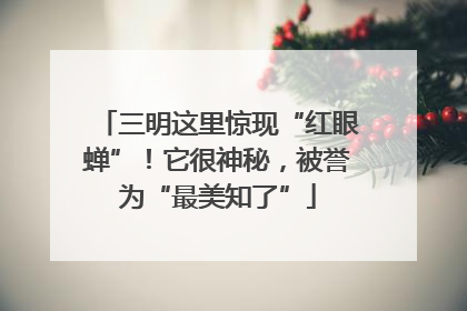 三明这里惊现“红眼蝉”！它很神秘，被誉为“最美知了”