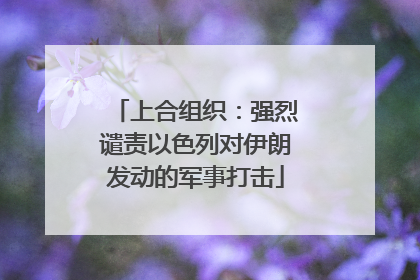 上合组织：强烈谴责以色列对伊朗发动的军事打击