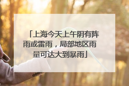 上海今天上午阴有阵雨或雷雨，局部地区雨量可达大到暴雨