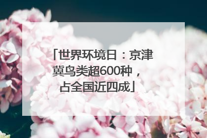 世界环境日：京津冀鸟类超600种，占全国近四成