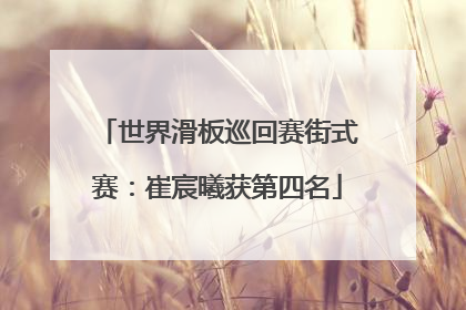 世界滑板巡回赛街式赛：崔宸曦获第四名