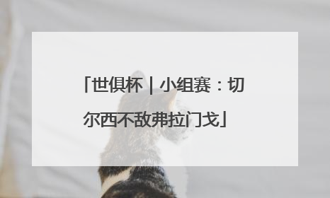 世俱杯｜小组赛：切尔西不敌弗拉门戈