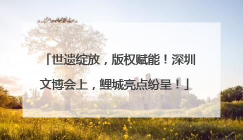世遗绽放，版权赋能！深圳文博会上，鲤城亮点纷呈！