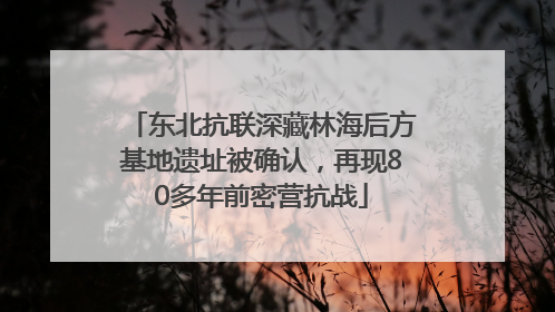 东北抗联深藏林海后方基地遗址被确认，再现80多年前密营抗战
