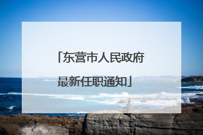 东营市人民政府最新任职通知