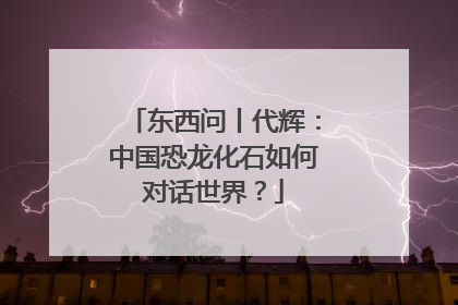 东西问丨代辉：中国恐龙化石如何对话世界？