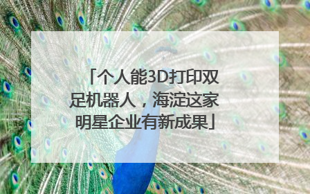 个人能3D打印双足机器人，海淀这家明星企业有新成果