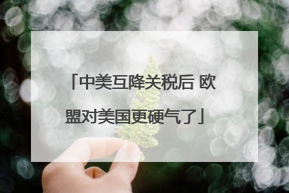 中美互降关税后 欧盟对美国更硬气了