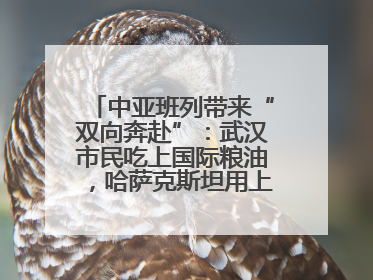 中亚班列带来“双向奔赴”：武汉市民吃上国际粮油，哈萨克斯坦用上鄂产光电屏