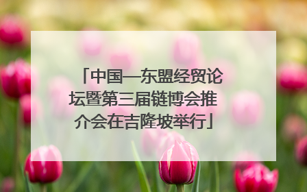 中国—东盟经贸论坛暨第三届链博会推介会在吉隆坡举行