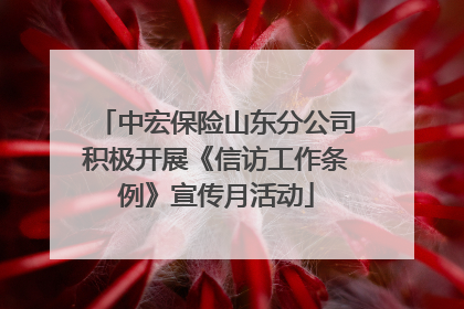 中宏保险山东分公司积极开展《信访工作条例》宣传月活动