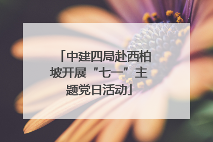 中建四局赴西柏坡开展“七一”主题党日活动