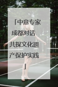 中意专家成都对话 共探文化遗产保护实践