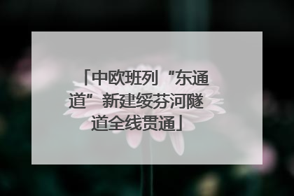 中欧班列“东通道”新建绥芬河隧道全线贯通