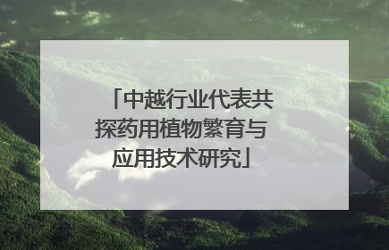 中越行业代表共探药用植物繁育与应用技术研究