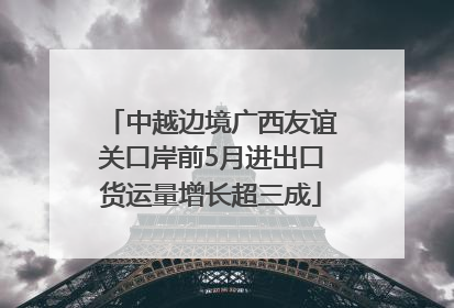 中越边境广西友谊关口岸前5月进出口货运量增长超三成