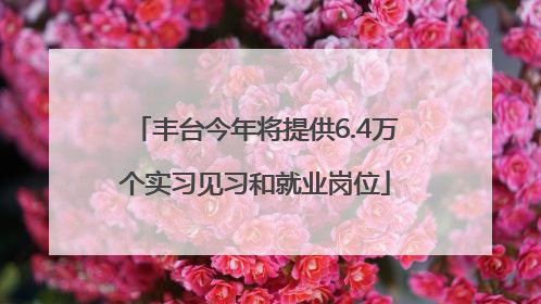 丰台今年将提供6.4万个实习见习和就业岗位