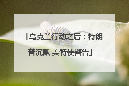 乌克兰行动之后：特朗普沉默 美特使警告