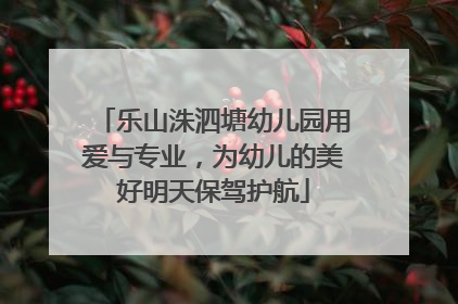 乐山洙泗塘幼儿园用爱与专业，为幼儿的美好明天保驾护航